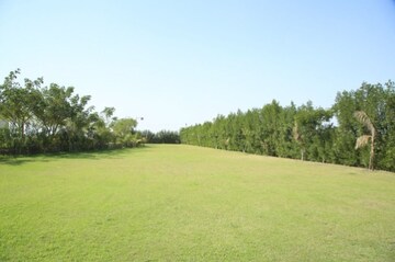  Plot For Sale in Bagodara