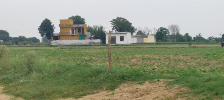 Garden, deri skaner  120 Sq.Yd. Plot In Deri Skaner Greater Noida 7954266