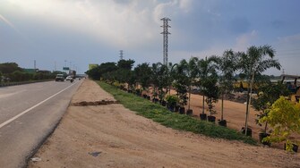 Plot For Resale in Vasavi Diamond Pharma City Kurmidda Hyderabad  7954536