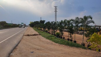 Plot For Resale in Vasavi Diamond Pharma City Kurmidda Hyderabad  7954536