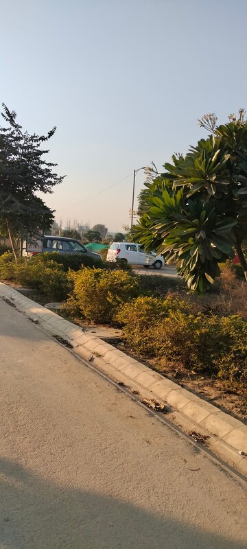 Plot Area in  Plot at Ireo Savannah, Sohna Sector 35 – for Sale