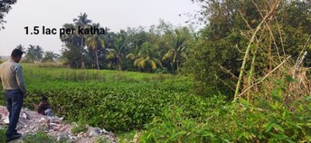 Plot For Resale in Sultanpur Kolkata  7954916