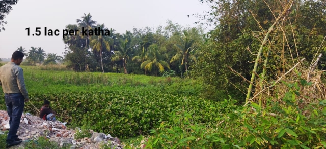 Plot For Sale in Poilan Swaminarayan Mandi