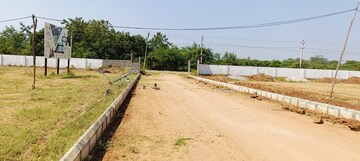 Plot Area in  Plot at Thimmapur – for Sale