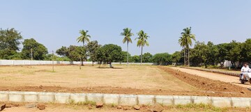 Plot Area in  Plot at Thimmapur – for Sale