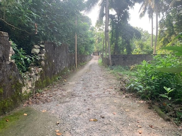 Plot Area in  Plot at Karikkakam – for Sale