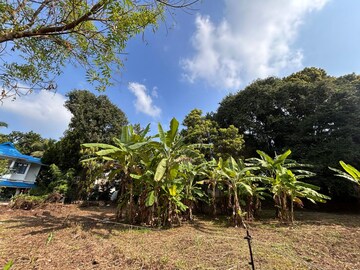 Plot Area in  Plot at Viyyur – for Sale