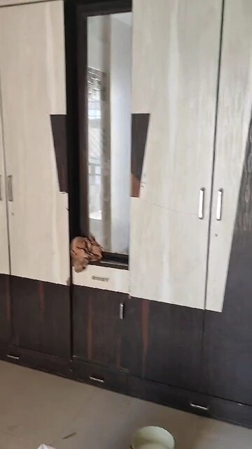 Kitchen in 2 BHK Apartment at Abhay Sheetal Complex, Mira Road – for Rent