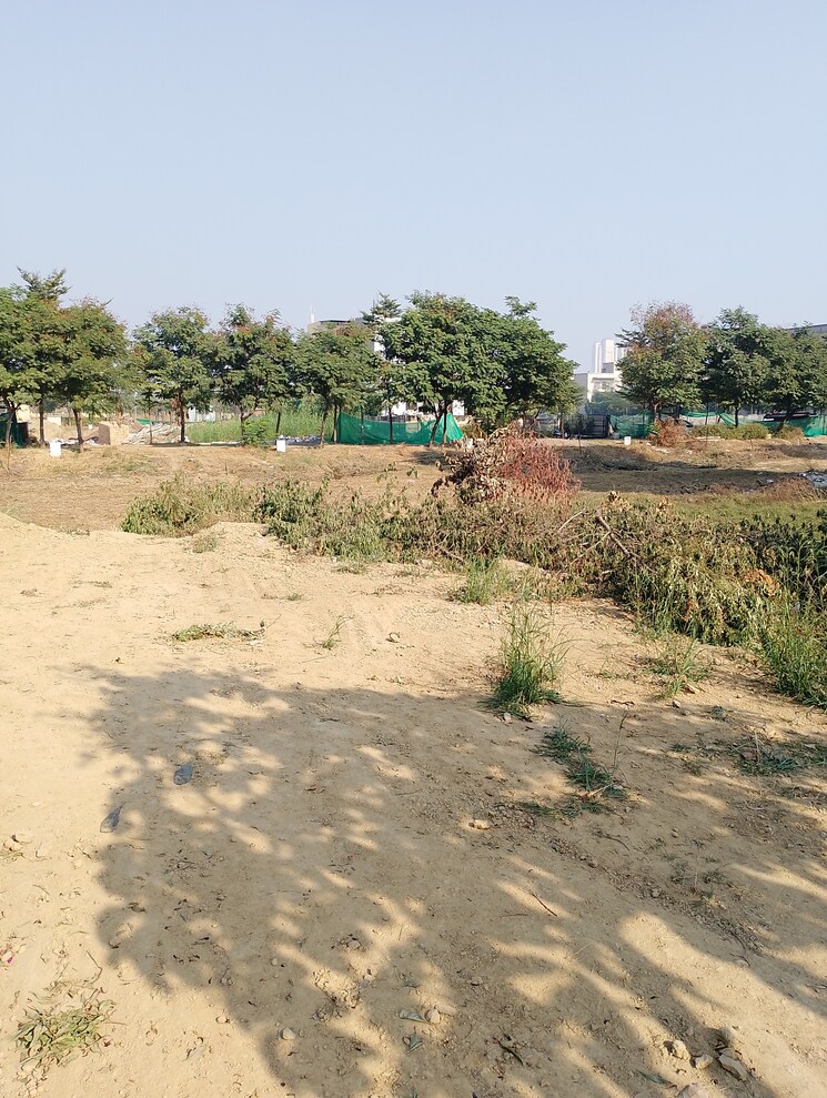 undefined, bptp-amstoria  198 Sq.Yd. Plot In Sector 102 Gurgaon 7955198