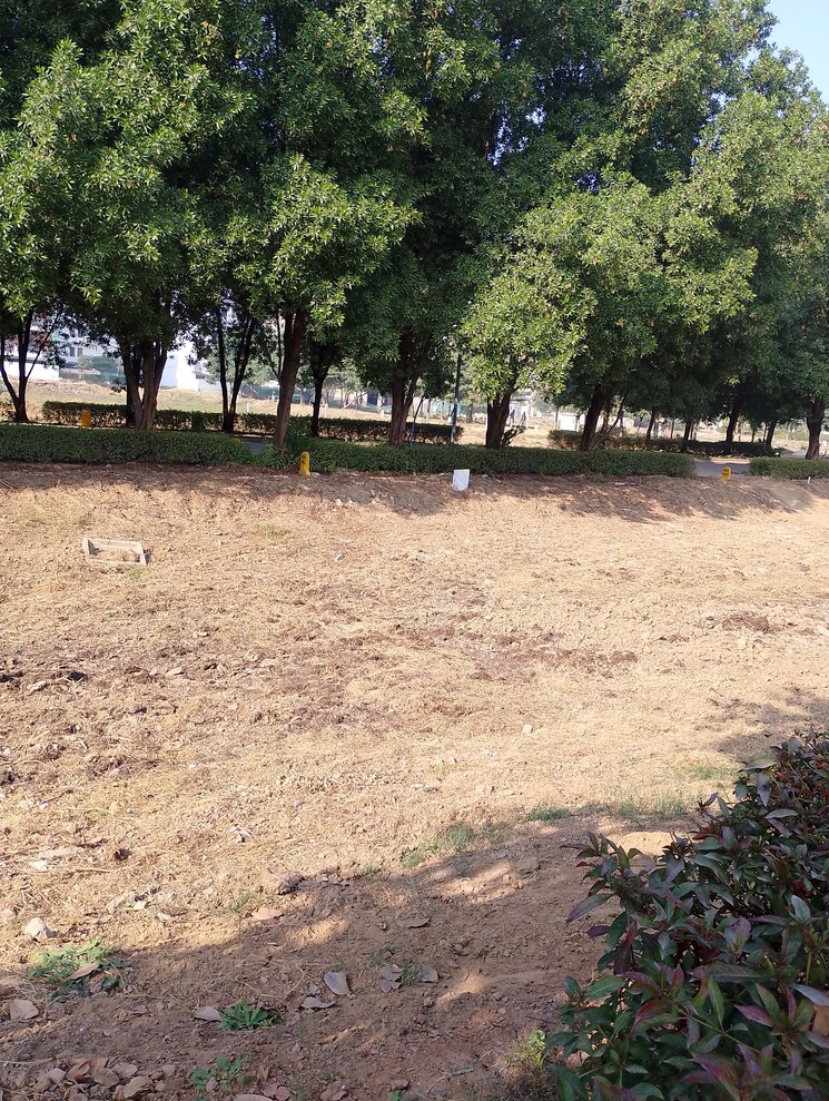 undefined, bptp-amstoria  198 Sq.Yd. Plot In Sector 102 Gurgaon 7955198