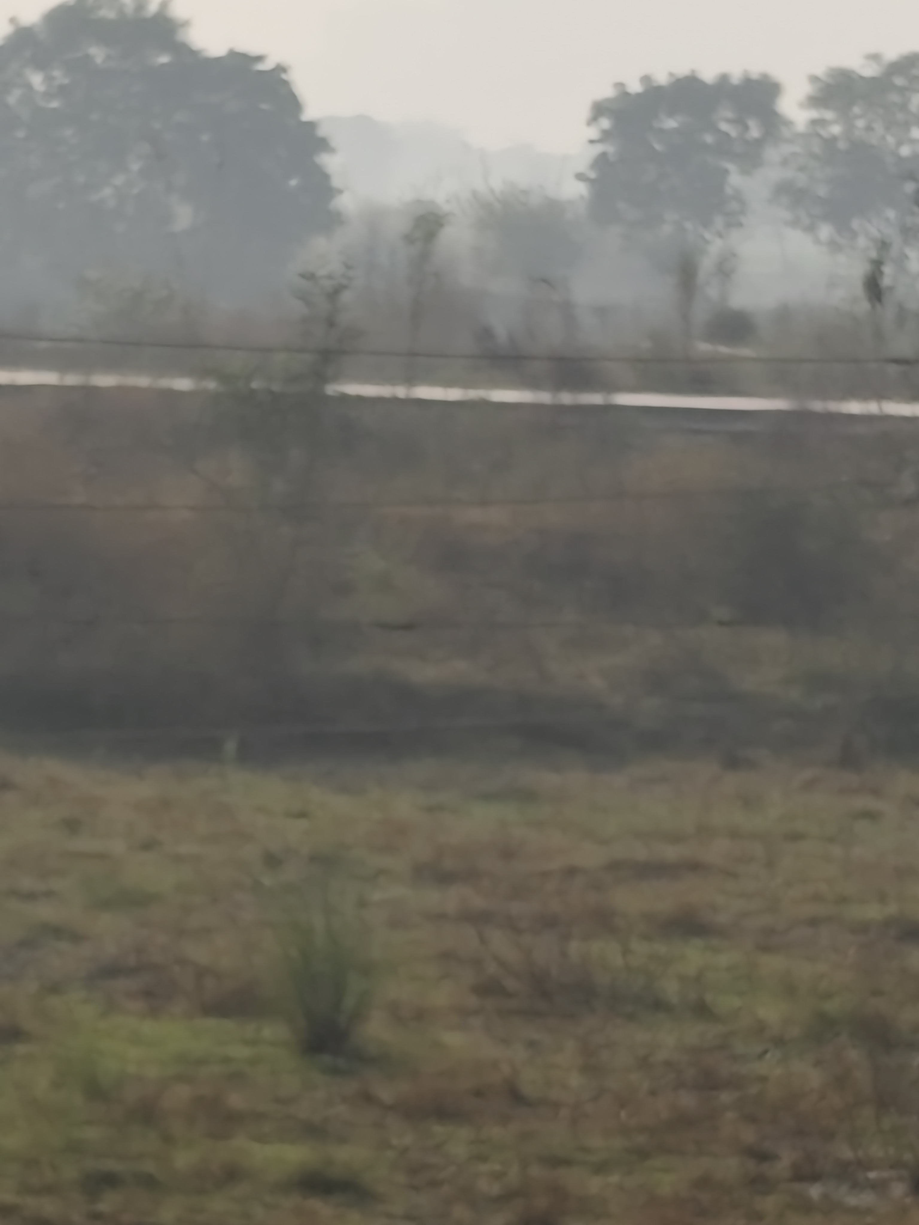 Plot For Sale in Krishna Enclave Morta