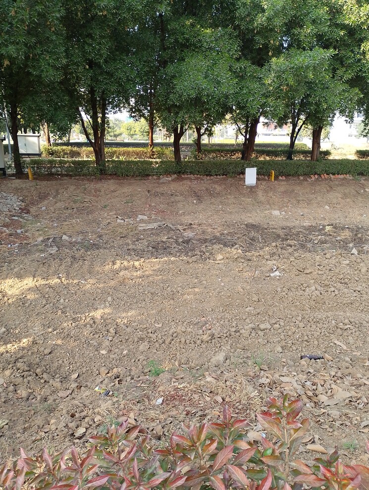undefined, bptp-amstoria  226 Sq.Yd. Plot In Sector 102 Gurgaon 7955328