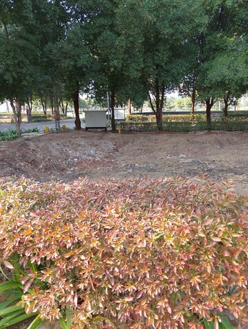 Plot Area in  Plot at BPTP Amstoria, Sector 102 – for Sale