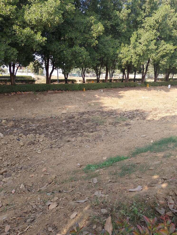 undefined, bptp-amstoria  226 Sq.Yd. Plot In Sector 102 Gurgaon 7955328