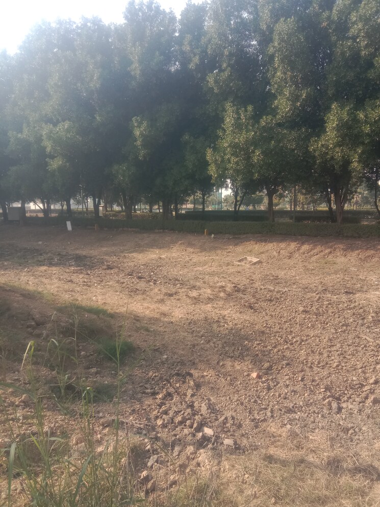undefined, bptp-amstoria-plot  225 Sq.Yd. Plot In Sector 102 Gurgaon 7955443
