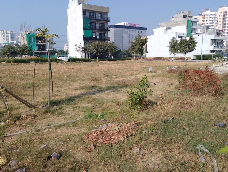 undefined, bptp-amstoria  225 Sq.Yd. Plot In Sector 102 Gurgaon 7955658