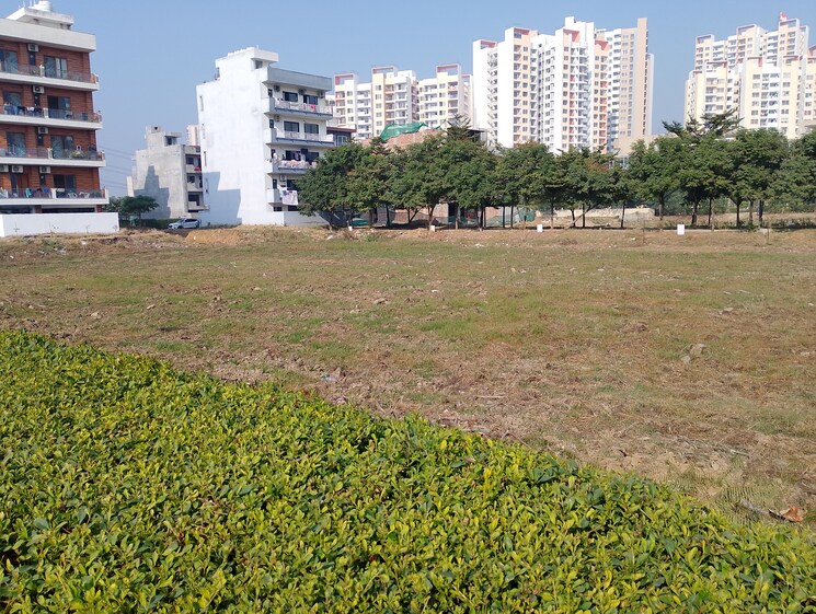 Garden, bptp-amstoria  225 Sq.Yd. Plot In Sector 102 Gurgaon 7955658