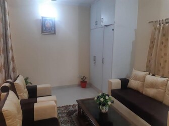 3 BHK Apartment For Rent in Sector 3 Dwarka Delhi  7955909