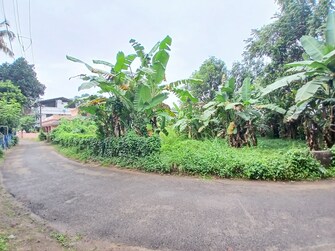 Plot For Resale in Pottore Thrissur  7956463