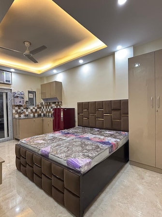 1 RK Builder Floor For Rent in Queens Plaza Sector 43 Gurgaon  7957037