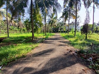 Plot For Resale in Kolazhy Thrissur  7956941