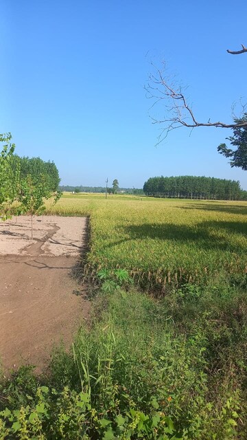 Plot Area in  Land at Bela – for Sale