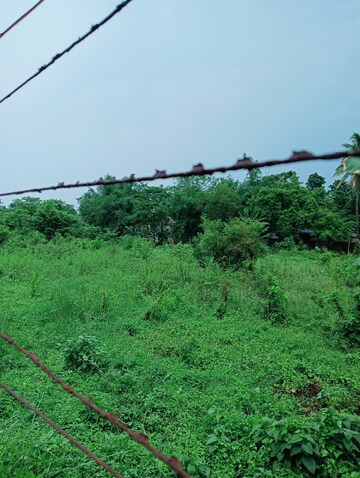 Plot Area in  Land at Hooghly – for Sale