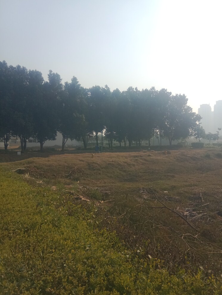 undefined, bptp-amstoria-plot  225 Sq.Yd. Plot In Sector 102 Gurgaon 7958252