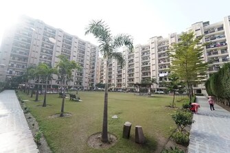 5 BHK Apartment For Resale in Panchkula Urban Estate Panchkula  7947551