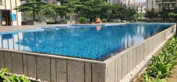 Swimming Pool, conscient-heritage-max 4 Bedroom 2554 Sq.Ft. Apartment In Sector 102 Gurgaon 7958893