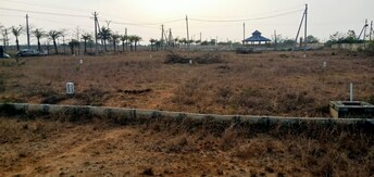 Plot For Resale in Vikhyath Haritha Vanam Anantharam Hyderabad  7958990