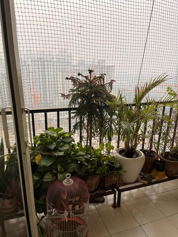 Balcony in 2 BHK Apartment at Gardenia Golf City, Sector 75 – for Rent
