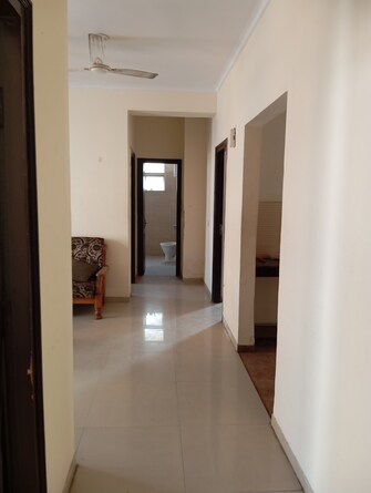 3 BHK Apartment For Rent in Omaxe Residency Gomti Nagar Lucknow  7959366