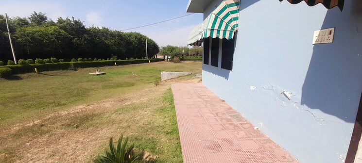 Garden, jewar  500 Sq.Yd. Plot In Jewar Greater Noida 7959382