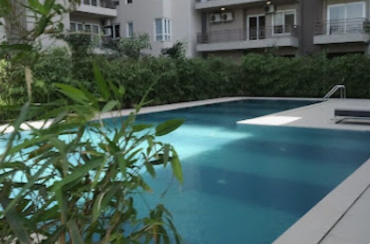 Swimming Pool, adani-oyster-greens 3 Bedroom 1689 Sq.Ft. Apartment In Sector 102 Gurgaon 7959439