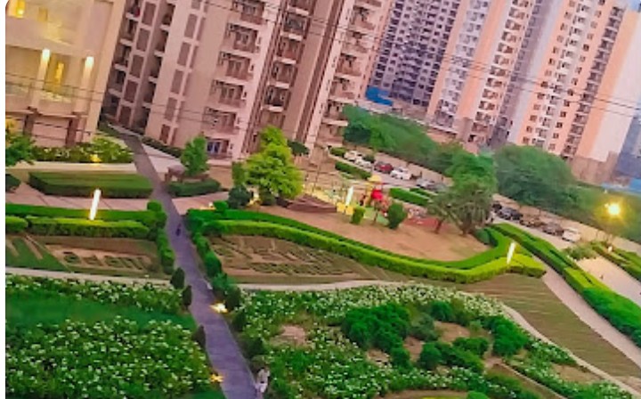 3 BHK + Servant Room 1889 Sq.Ft. Apartment in Adani Oyster Greens
