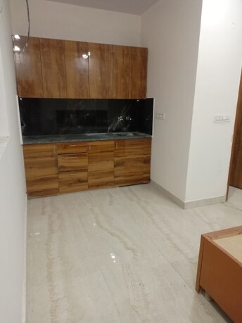 1 BHK Apartment For Rent in Mansarover Garden Delhi  7959607