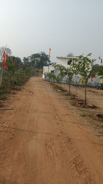 Plot Area in  Plot at Tappal – for Sale