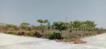 Plot Area in  Plot at Adibatla – for Sale