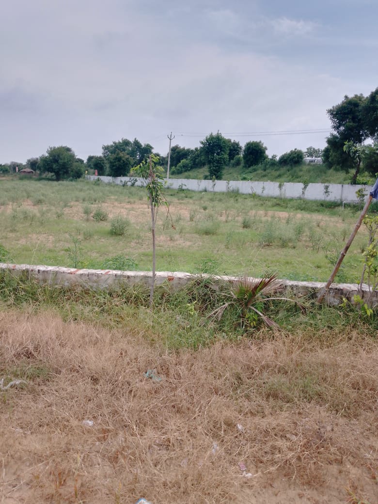 Plot For Sale in Yamuna Expressway 