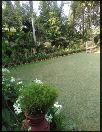 Plot For Resale in Bakhrahat Road Kolkata  7948501