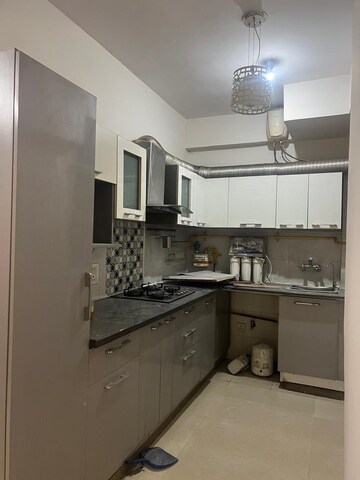 3 BHK Apartment For Rent in Tulip Orange, Sector 70