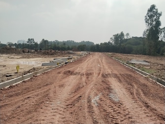 Plot For Resale in Sadaramangala Bangalore  7960140