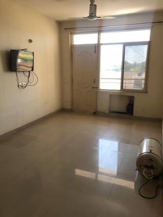 3 BHK Apartment For Rent in NK Sharma Savitry Greens Lohgarh Zirakpur  7960241