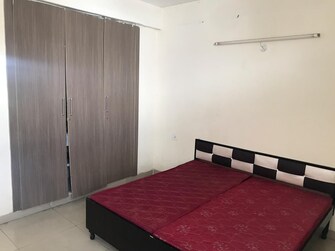 3 BHK Apartment For Rent in NK Sharma Savitry Greens Lohgarh Zirakpur  7960241