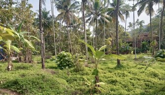 Plot For Resale in Kuthuparamba Kannur  7960243