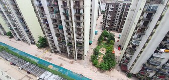 3 BHK Apartment For Rent in La Prisma Dhakoli Village Zirakpur  7960257