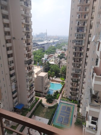 2 BHK Apartment For Rent in Supertech 34 Pavilion Sector 34 Noida  7960319