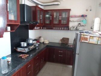 3 BHK Apartment For Rent in Malwa Escon Primera International Airport Road Zirakpur  7960532