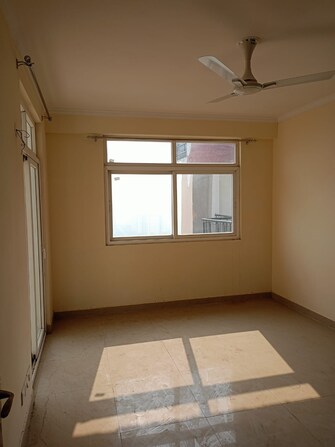 3.5 BHK Penthouse For Rent in Amrapali Zodiac Sector 120 Noida  7960562